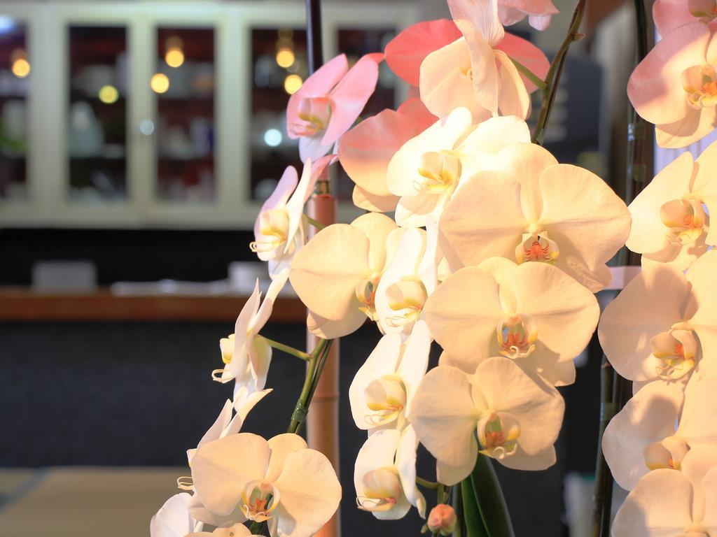Hotel Grace Hakuba Eksteriør bilde